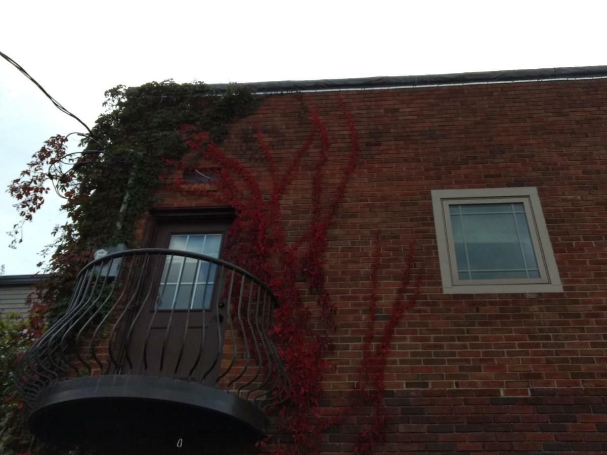 The Vintage Inn Bed And Breakfast Redwood Falls ภายนอก รูปภาพ